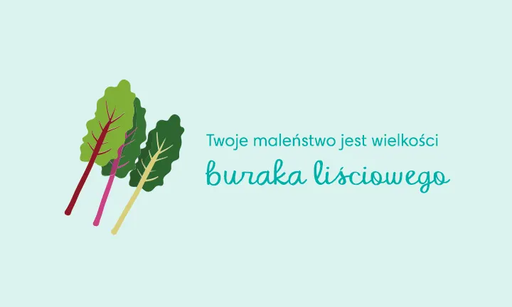 pieluchy dla dorosłych blizej ciebie