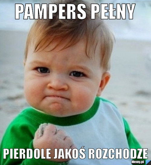 pampers dostawca wrocław