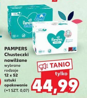 pampers producent w po