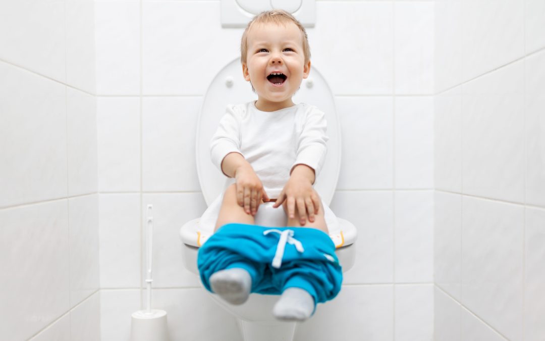 pampers premium care 2 białe a zielone opakowanie