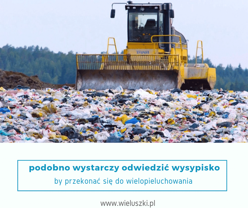 posłanka pis deklaracje pieluchy