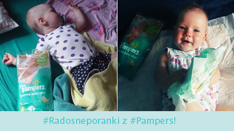 pampers 4 cena 49 szt