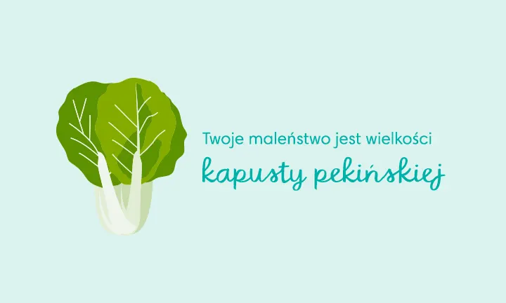 chusteczki pampers ktore lepsze