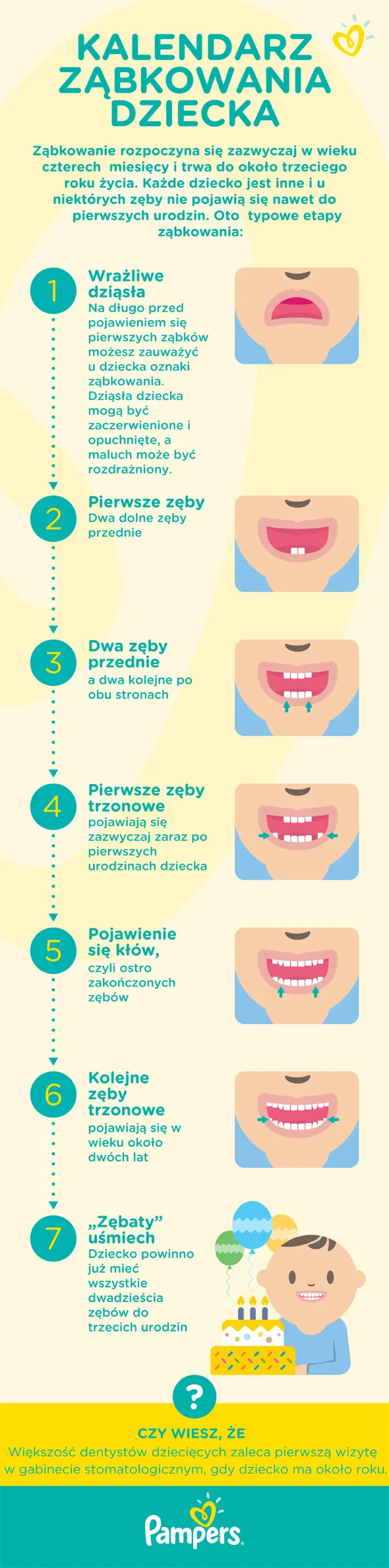 pieluchomajtki dla dorosłych rozmiar m wciągane