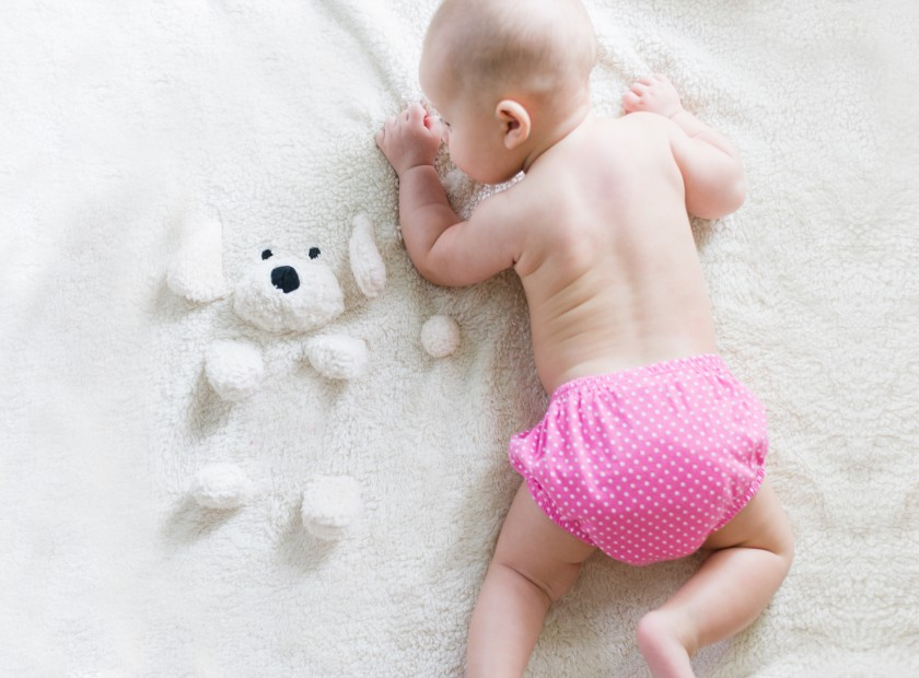 pampers pant właściwości