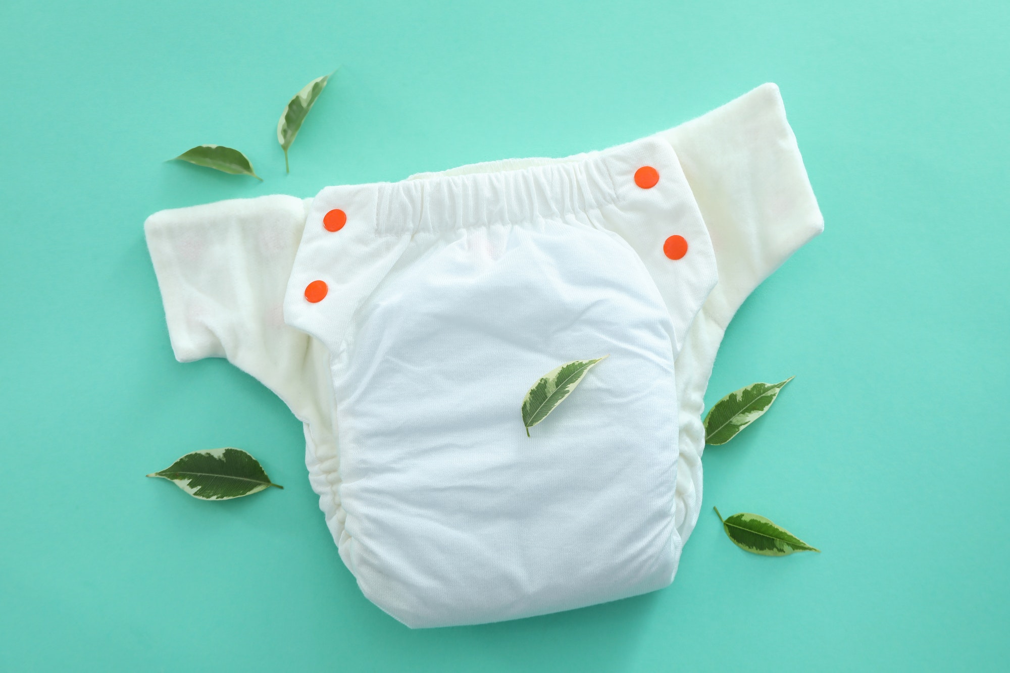 pampers pants 5 online