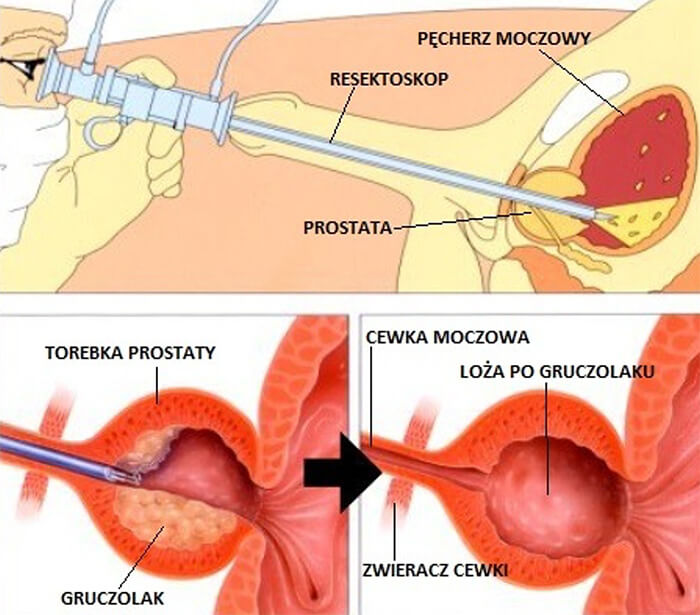 najpiękniejsze kołysanki świata pampers chomikuj