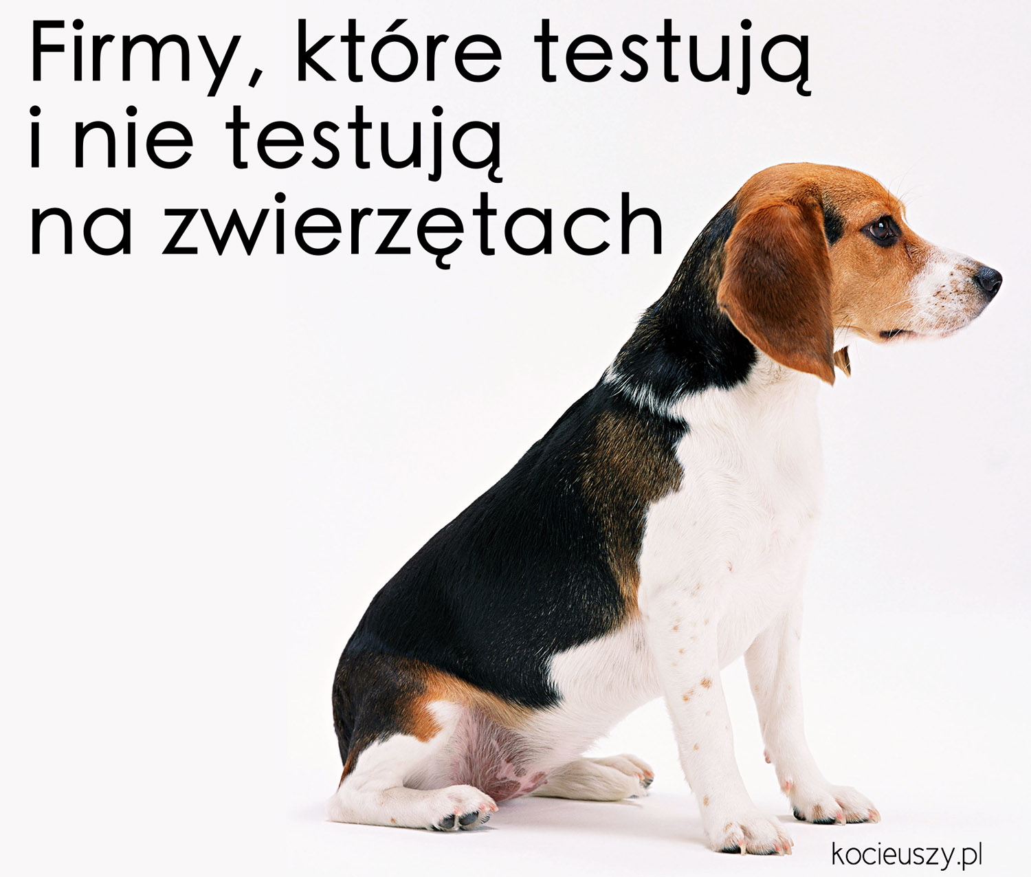 jednorazowe pieluszki do pływania