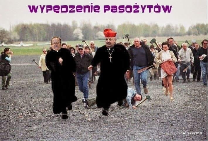 pieluchy wielorazowe miła opinie