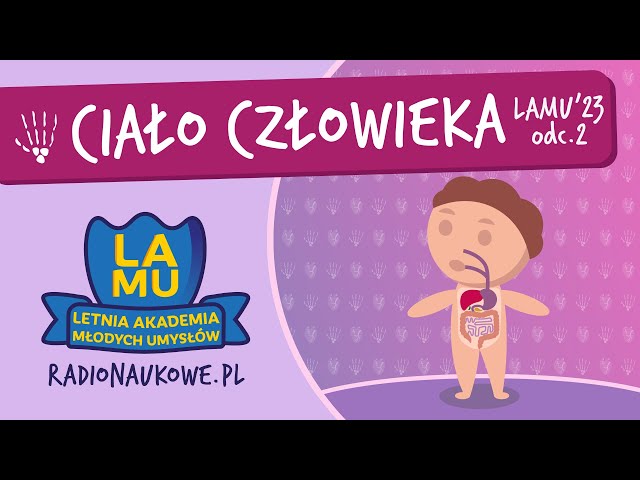 jak często zmieniać pampersy dorosłym