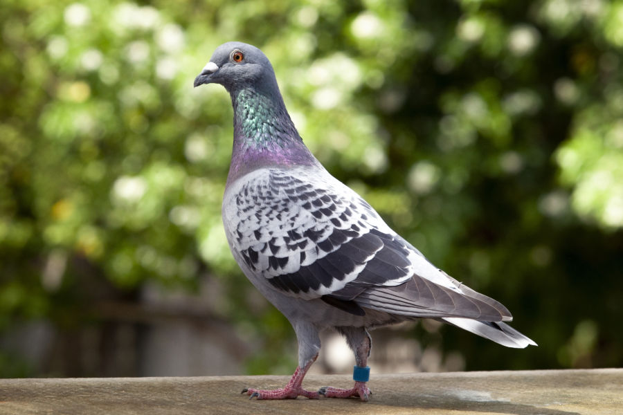 torba na pieluchy na łóżeczko