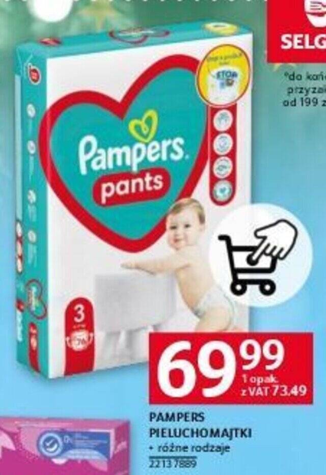 pieruchy pampers 174