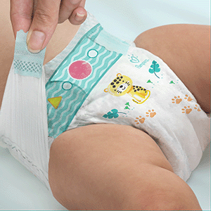 pampers dada premium 5 opinie