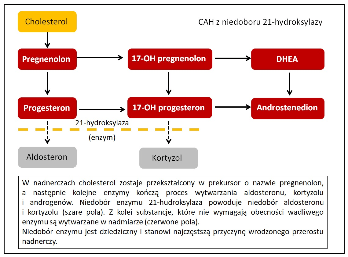 pieluchy dla dorosłych seni large 3