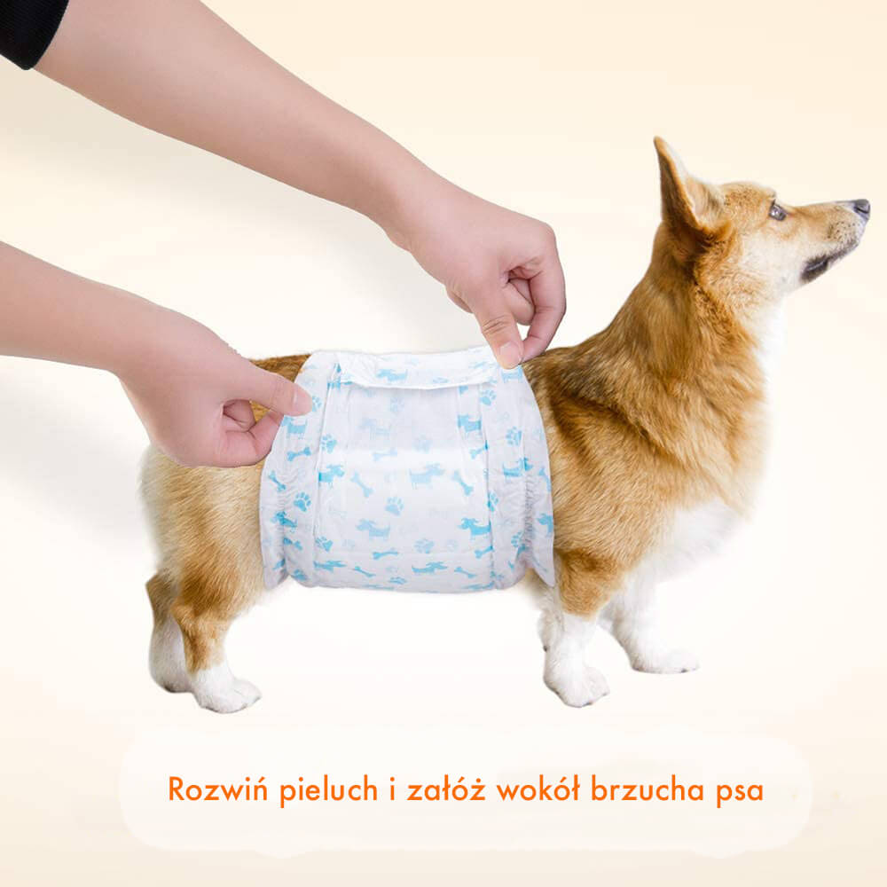 pampers pants co to taki pasek niebieski