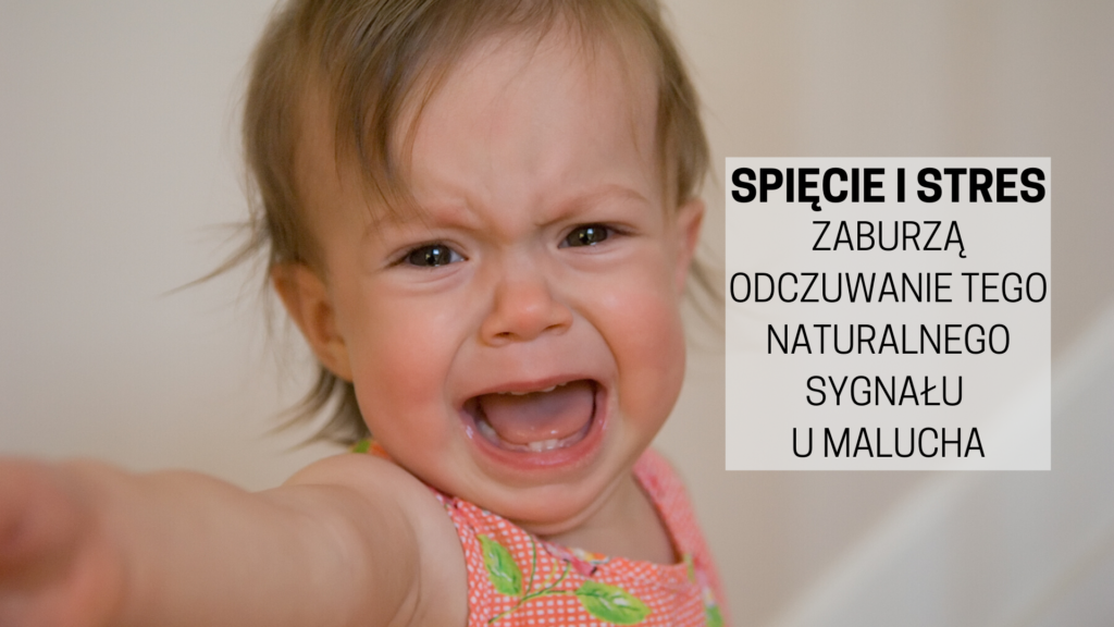 pampers chusteczki sensitive opinie