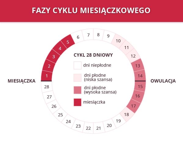 test chłonności pieluchy wielorazowe